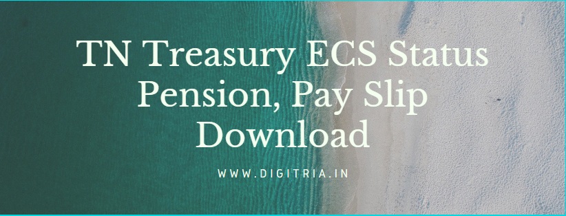 TN Treasury ECS Status 